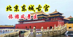 操小浪逼中国北京-东城古宫旅游风景区